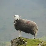 ゲストハウス ヘイズソープ