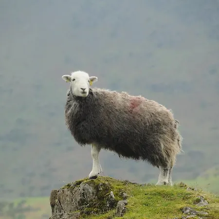 Affittacamere Haisthorpe