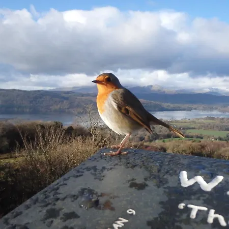 Haisthorpe 4* Windermere